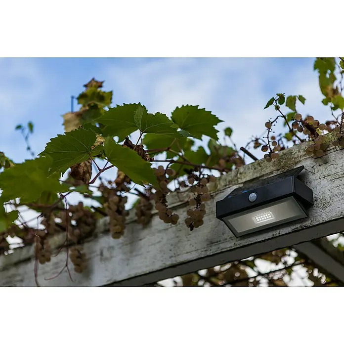 Lutec Aplique solar para exterior Arrow LED - Detector de movimiento, Blanco frío, IP44 - Foto ambiente