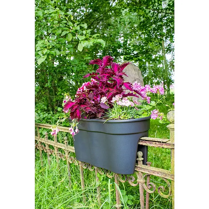 KHW Geländerkasten Flowerclip XL - Außenmaß (L x B x H): 57,5 x 27,7 x 27,5 cm, Kunststoff, Anthrazit - Stimmungsaufnahme