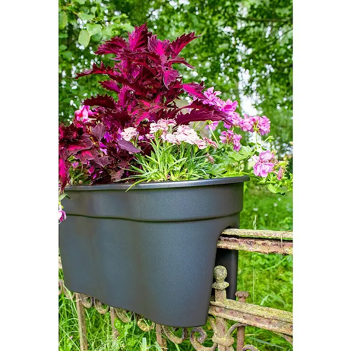 KHW Geländerkasten Flowerclip XL - Außenmaß (L x B x H): 57,5 x 27,7 x 27,5 cm, Kunststoff, Anthrazit - Stimmungsaufnahme