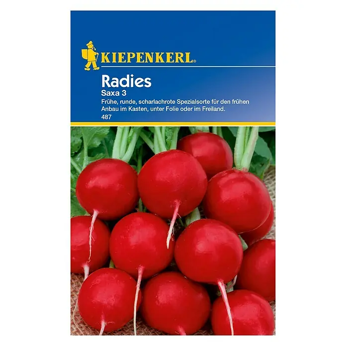 Kiepenkerl Gemüsesamen Radieschen - Saxa 3, Raphanus sativus var. sativus, Erntezeit: April - Vorderansicht
