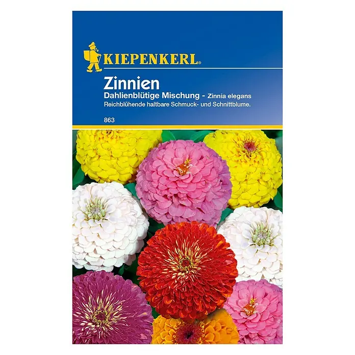 Kiepenkerl Blumensamen Zinnie dahlienblütige Mischung - Zinnia elegans, Mehrfarbig - Vorderansicht