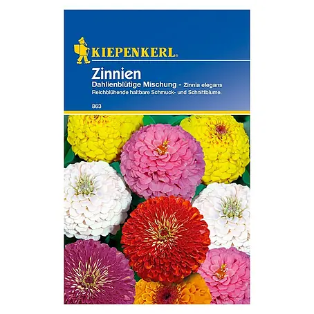 Kiepenkerl  Blumensamen Zinnie dahlienblütige Mischung