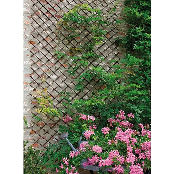 Nortene Celosía Willow Trellis - An x Al: 1 x 2 m, Extensible, Natural - Foto ambiente