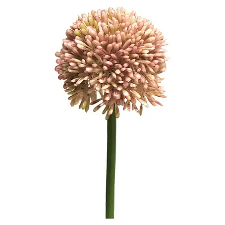Kunstbloem Allium Globemaster