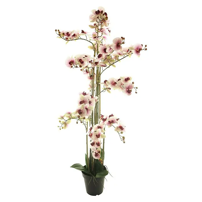 Kunstbloem Phalaenopsis Bora - Hoogte: 140 cm, Polyester - Vooraanzicht