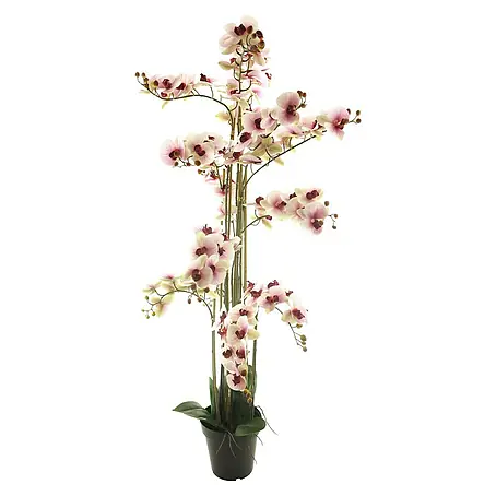 Kunstbloem Phalaenopsis Bora