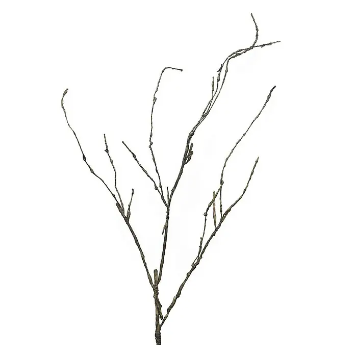 Kunstplant Hout Twijg Cordata - Hoogte: 95 cm, Polyester - Vooraanzicht