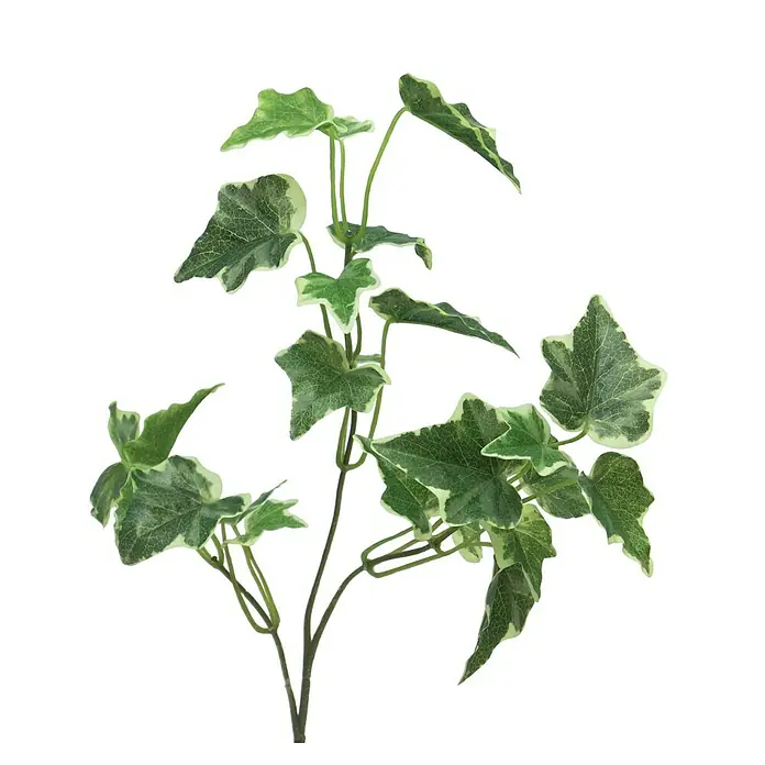 Kunstplant Hedera Chicago - Hoogte: 24 cm, Polyester - Vooraanzicht