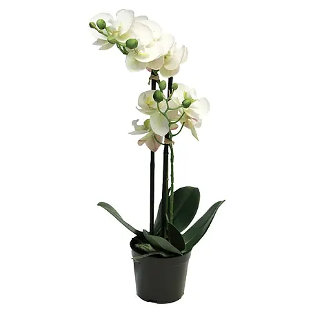 Kunstbloem Phalaenopsis Bora