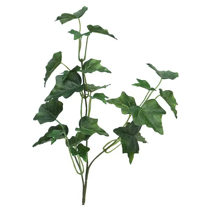 Kunstplant Hedera Chicago - Hoogte: 24 cm, Polyester - Vooraanzicht