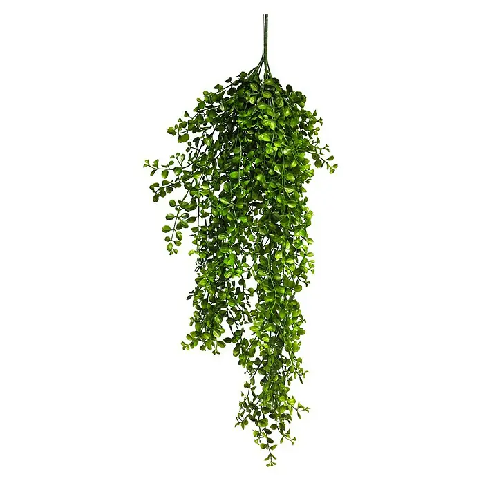 Kunstplant Palaea Rotundifolia - Hoogte: 88 cm, Polyester - Vooraanzicht
