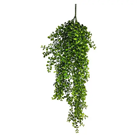 Kunstplant Palaea Rotundifolia