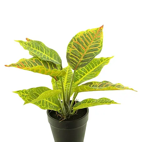 Kunstplant Croton Variegatum