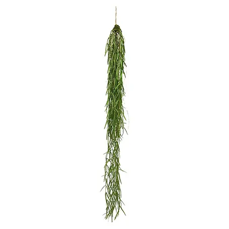 Kunstplant Sprengeri