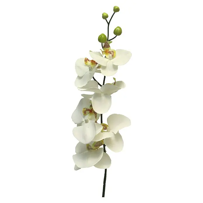 Kunstbloem Phalaenopsis - Hoogte: 78 cm, Polyester - Vooraanzicht