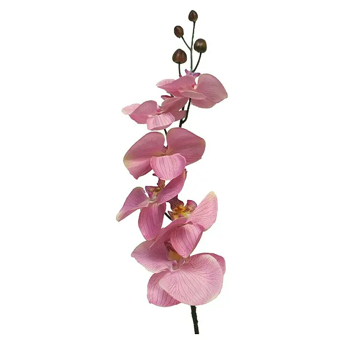 Kunstbloem Phalaenopsis - Hoogte: 78 cm, Polyester - Vooraanzicht