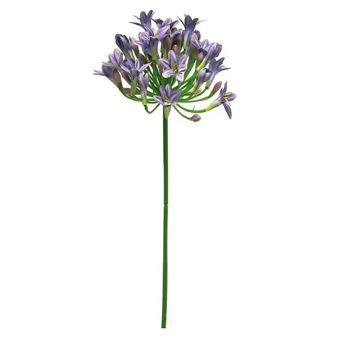 Kunstbloem Agapanthus - Hoogte: 75 cm, Polyester - Vooraanzicht
