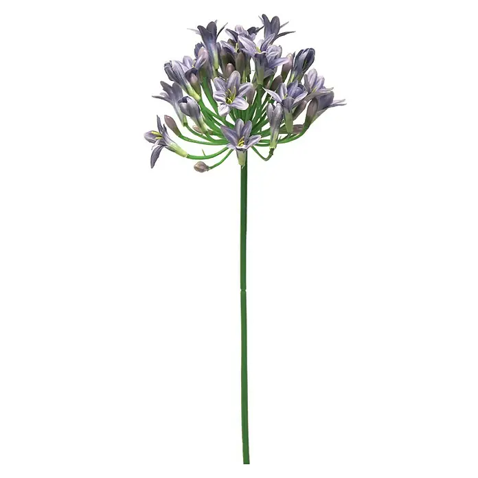 Kunstbloem Agapanthus - Hoogte: 75 cm, Polyester - Vooraanzicht