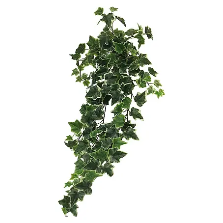 Kunstplant Ivy Chicago
