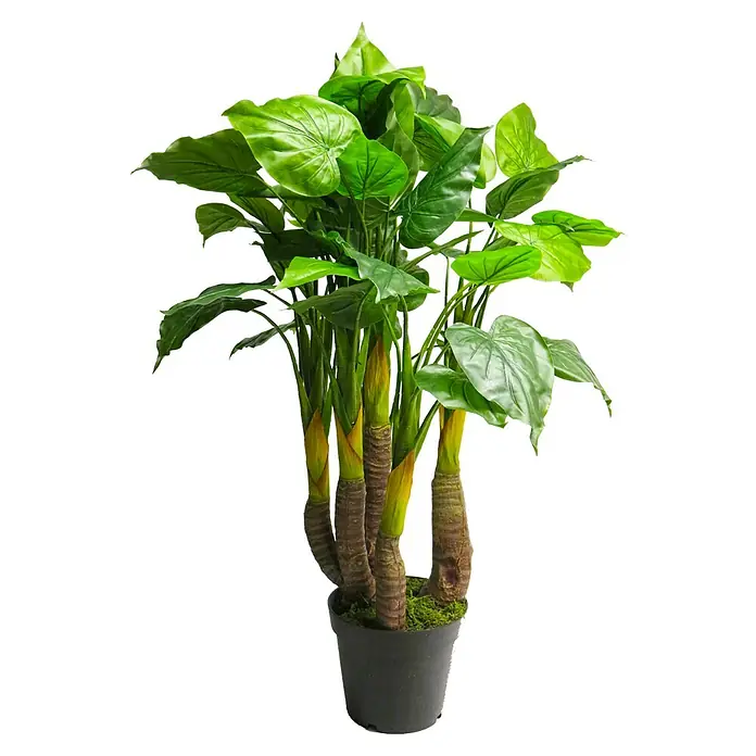 Kunstplant Anthurium Avanti - Hoogte: 120 cm, Polyester - Vooraanzicht