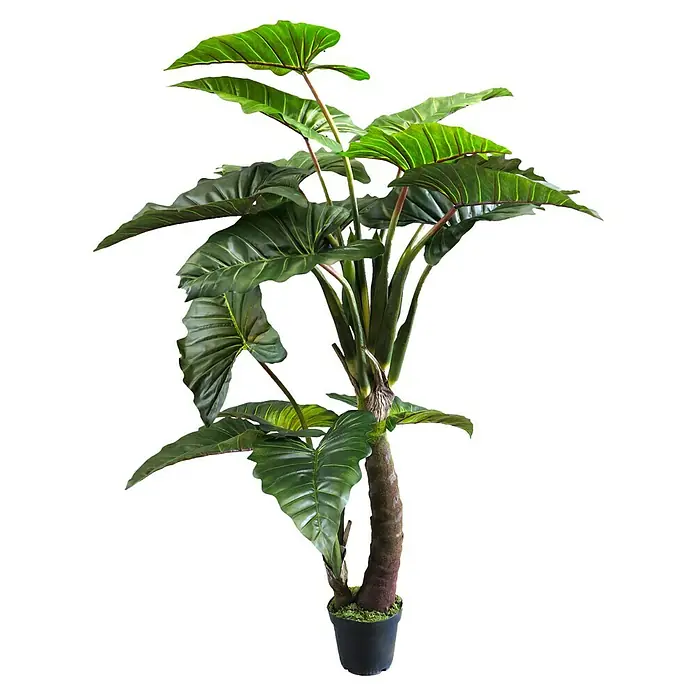 Kunstplant Caladium Gigantium - Hoogte: 220 cm, Polyester - Vooraanzicht