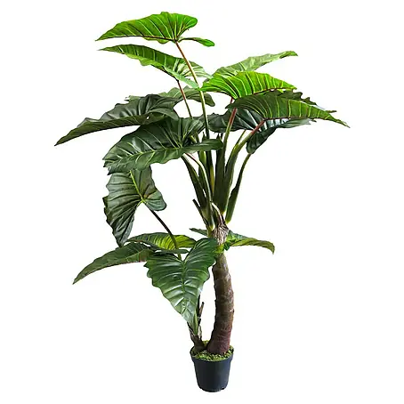 Kunstplant Caladium Gigantium