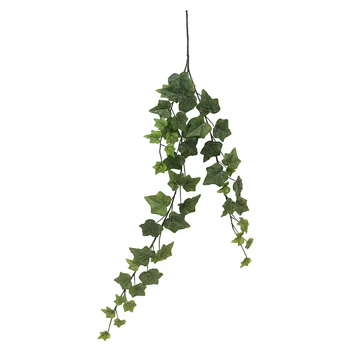 Kunstplant Frosted Hedera - Hoogte: 80 cm, Polyester - Vooraanzicht