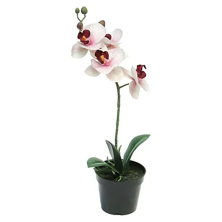 Kunstbloem Phalaenopsis