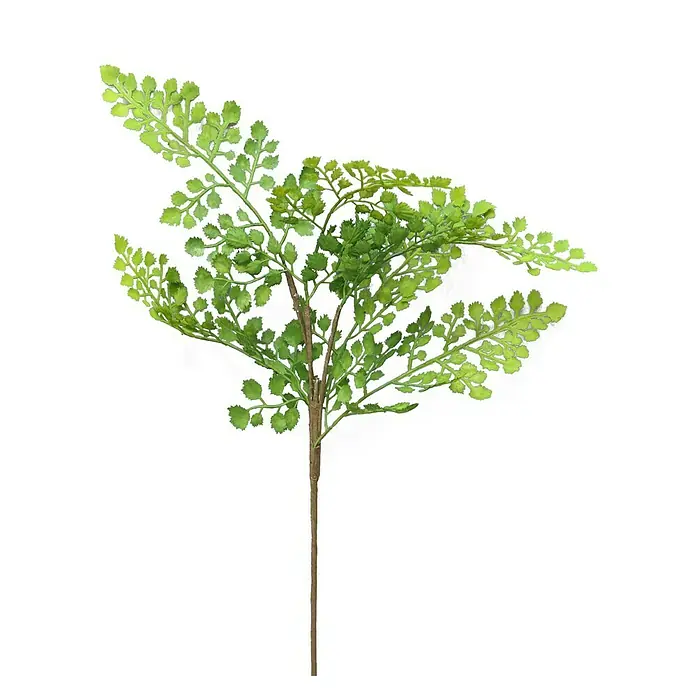 Kunstplant Varen Maiden - Hoogte: 53 cm, Polyester - Vooraanzicht