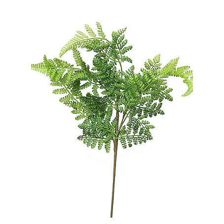 Kunstplant Athyrium
