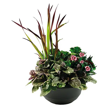 Pflanzenarrangement Herbstorchester