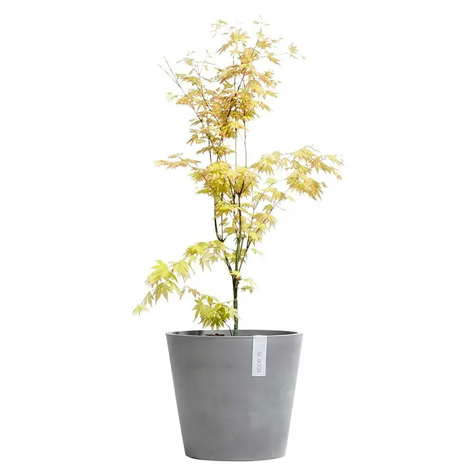 Ecopots Amsterdam Pflanztopf Amsterdam - Außenmaß (Ø x H): 50 x 44 cm, Kunststoff, Grau