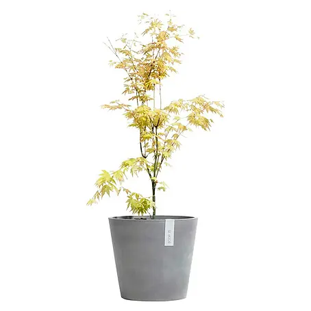 Ecopots Amsterdam Pflanztopf Amsterdam