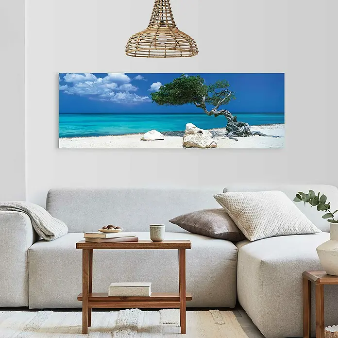 Decopanel - Divi Divi Tree, B x H: 156 x 52 cm - Stimmungsaufnahme