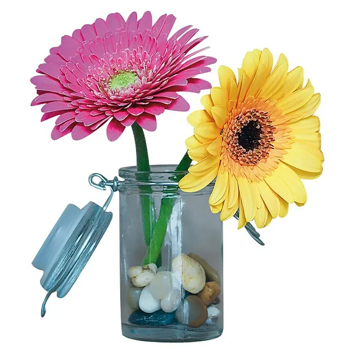 Piardino Gerbera - Gerbera jamesonii, Topfgröße: 12 cm, Blütenfarbe: Sortenabhängig - Stimmungsaufnahme