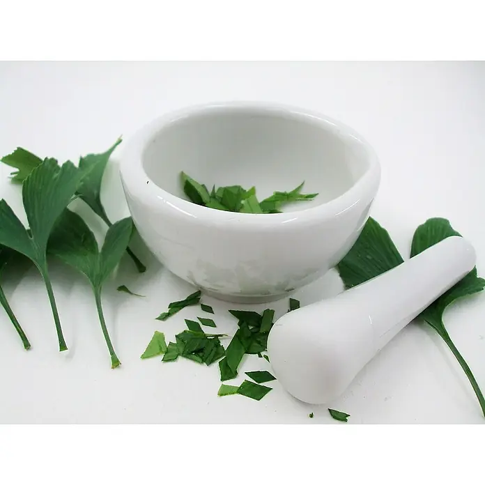 Ginkgo - Ginkgo biloba, Topfgröße: 12 cm - Anwendungsbeispiel
