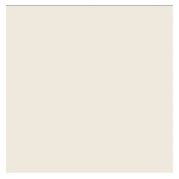 swingcolor 2in1 Flüssigkunststoff RAL 9001 - Cremeweiß, 2,5 l, Seidenmatt - Draufsicht