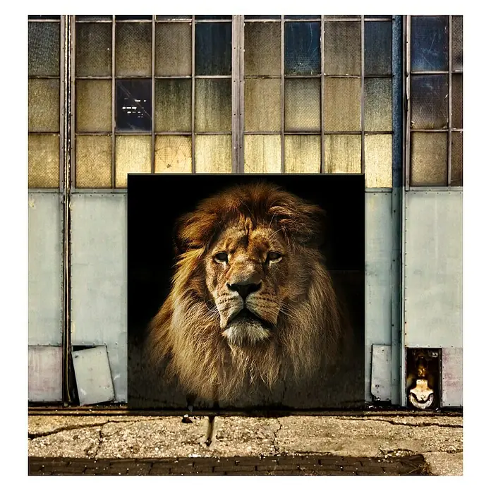 Glasbild - The Leader, B x H: 80 x 80 cm - Stimmungsaufnahme