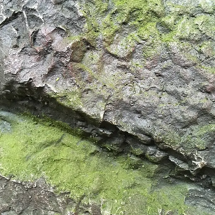 Silex Kunststeinbrunnen Ginkgo - 54 x 62 x 163 cm - Detailaufnahme