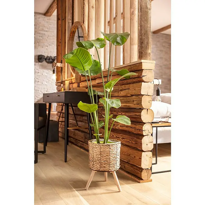 Altholzbretter - Fichte/Tanne, Anfallende Breite: 8 cm - 12 cm, 50 x 2 cm, 5 Stk. - Stimmungsaufnahme