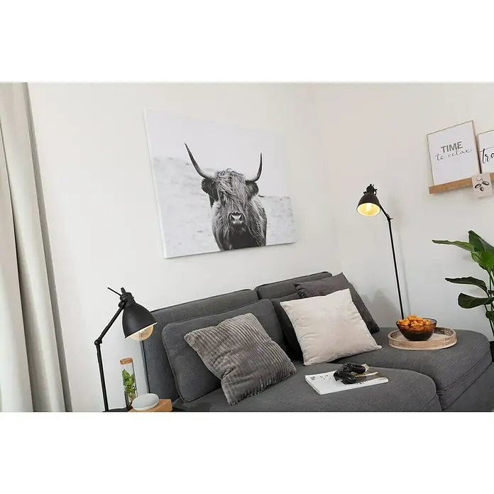 ProArt Leinwandbild - Scot Highland, B x H: 120 x 90 cm - Stimmungsaufnahme