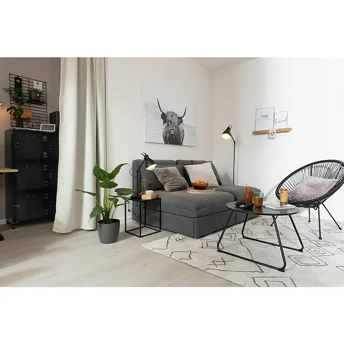 ProArt Leinwandbild - Scot Highland, B x H: 120 x 90 cm - Stimmungsaufnahme