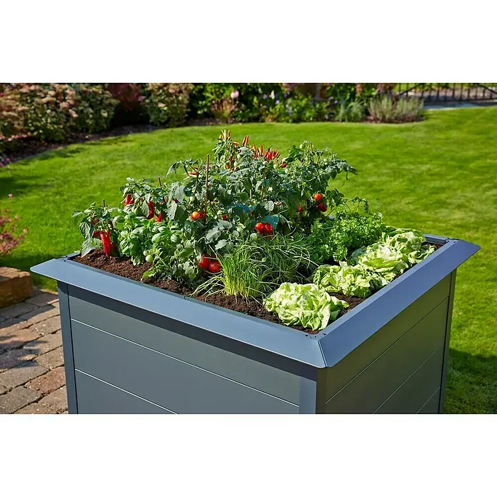 Gardol Hochbeet mit Schneckenkante - L x B x H: 100 x 100 x 76 cm, Stahl, Anthrazit - Stimmungsaufnahme
