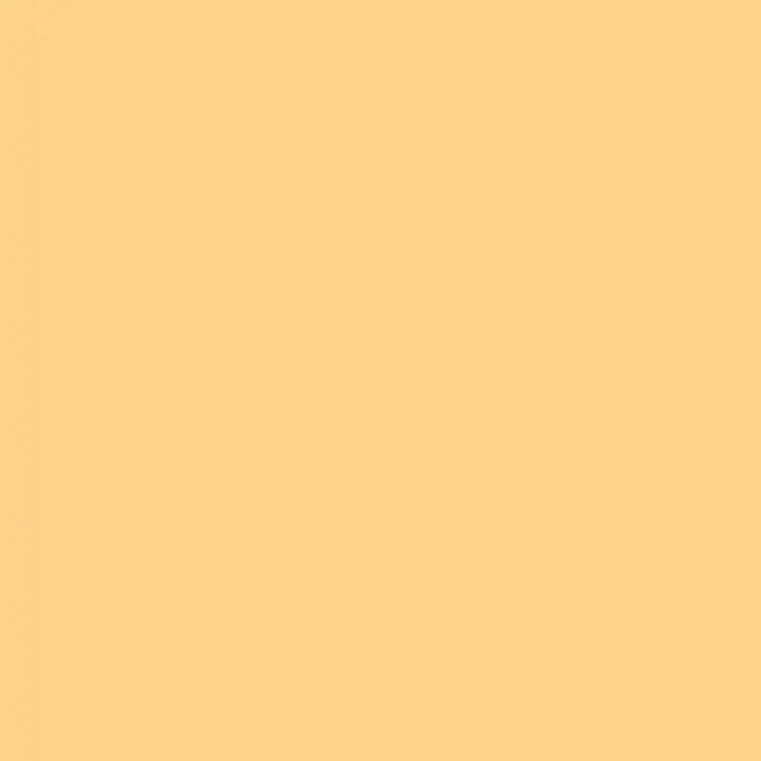 swingcolor Soft Colors Wandfarbe - Peach, 5 l, Matt - Einfarbiges hellorangefarbenes Farbfeld.