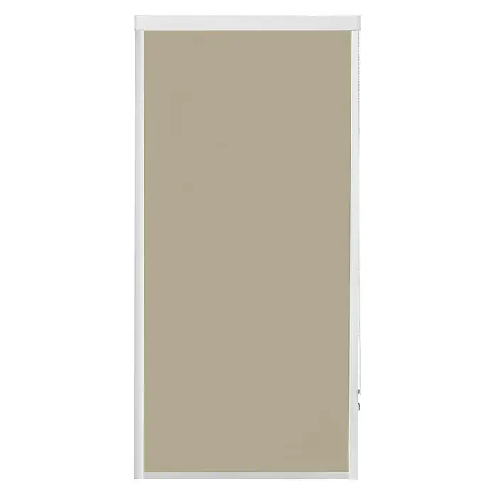 Expo Ambiente Rollo mit Kassette - B x H: 100 x 175 cm, Beige - Vorderansicht