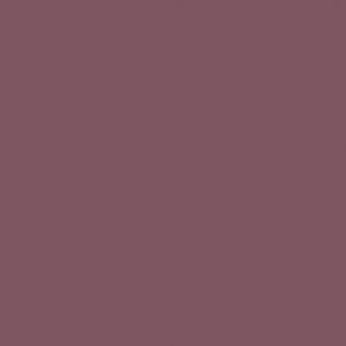 SCHÖNER WOHNEN-Farbe Wandfarbe Designfarbe - Stilvolles Opalviolett, 2,5 l, Matt - Draufsicht