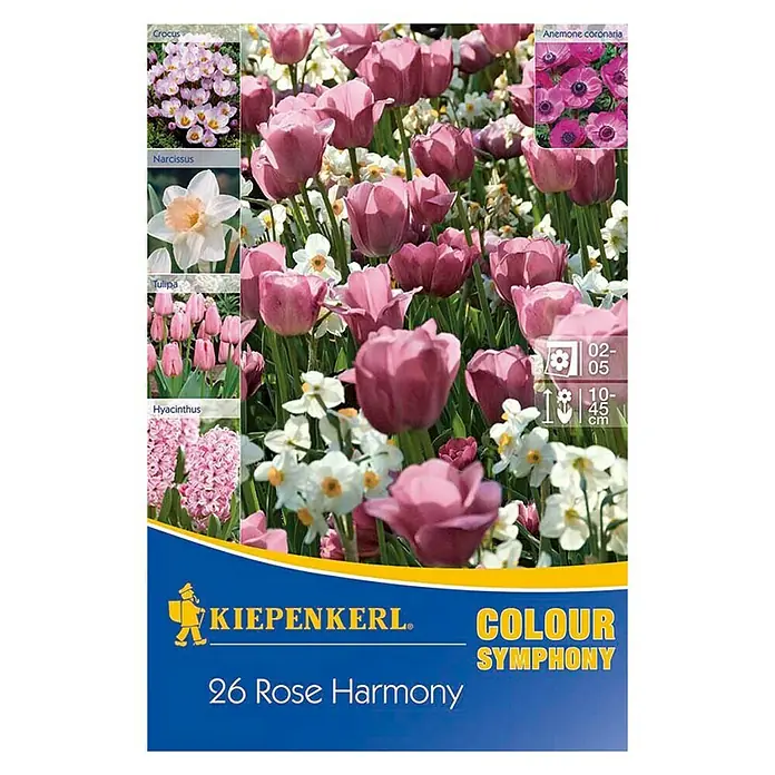 Kiepenkerl Frühlingsblumenzwiebeln Rose Harmony - 26 Stk., Roseharmony - Vorderansicht