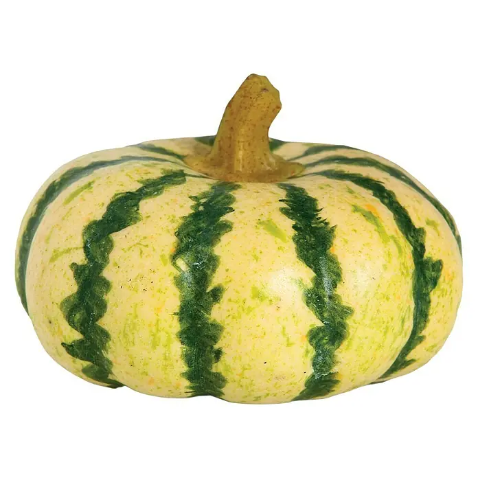 Figura decorativa Calabaza - L x An x Al: 10 x 5 x 5 cm, Plástico