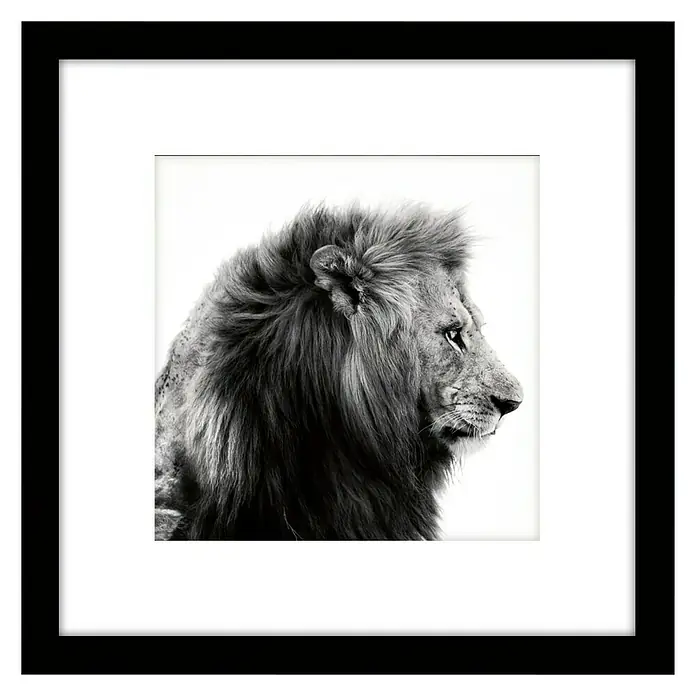 Cuadro León - Lion, An x Al: 30 x 30 cm