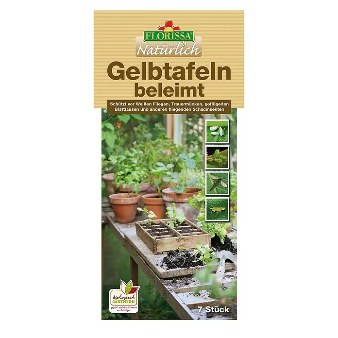 Florissa Gelbtafeln - 7 Stk.